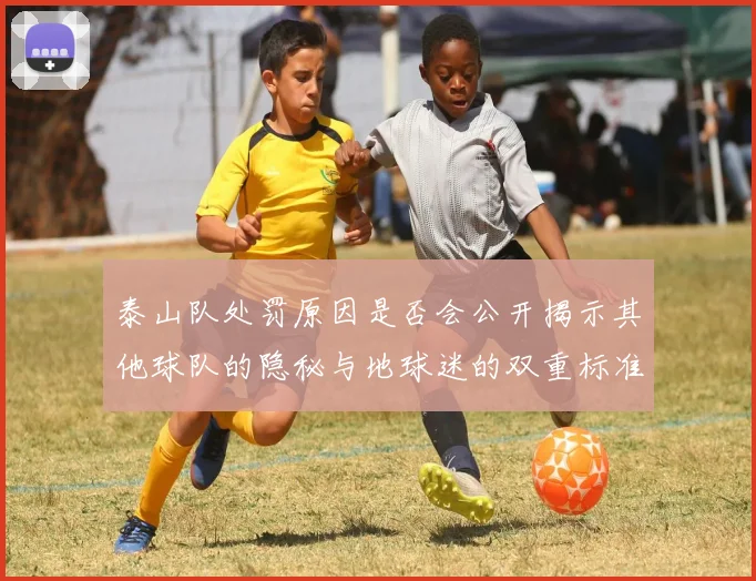 泰山队处罚原因是否会公开揭示其他球队的隐秘与地球迷的双重标准