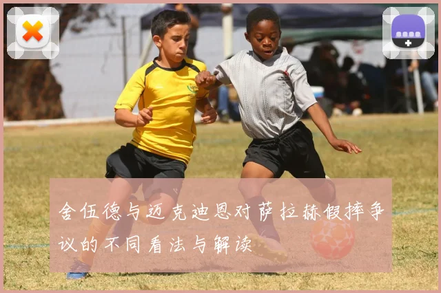 舍伍德与迈克迪恩对萨拉赫假摔争议的不同看法与解读
